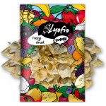 Lyofio Mrazem sušený ananas plátky 100 g – Zboží Mobilmania