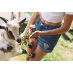 Bioalis Forte 60 kapslí – Hledejceny.cz