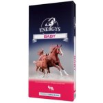 Energys Horse Prémiové krmivo pro koně Granule Baby 25 kg – Zboží Dáma