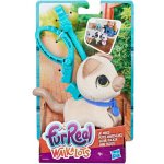 Hasbro Fur Real Friends Walkalots malá kočka – Hledejceny.cz