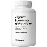 Vilgain Liposomální Glutathion 90 kapslí – Hledejceny.cz