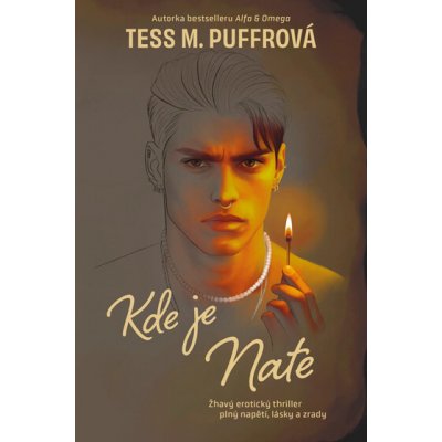 Kde je Nate - Tess M. Puffrová – Hledejceny.cz