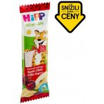 HIPP BIO Ovocná tyčinka 23 g – Zboží Dáma