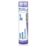 LEDUM PALUSTRE POR 30CH GRA 1X4G – Hledejceny.cz
