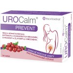 Profemina UroCalm Prevent 30 tablet – Hledejceny.cz
