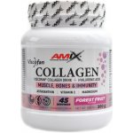Amix Viscofan Collagen drink forest fruit 300 g – Hledejceny.cz