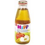 HiPP BIO Jablečno-hroznová 500 ml – Zboží Dáma