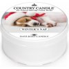 Svíčka Country Candle WINTER´S NAP 42 g