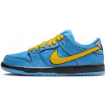 Nike SB Dunk Low The Powerpuff Girls Bubbles – Hledejceny.cz