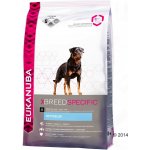 Eukanuba Rottweiler 2 x 12 kg – Hledejceny.cz