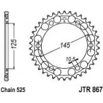 JT Sprockets JTR 867-43 | Zboží Auto