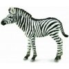 Figurka Collecta Divoká zvírátka zebra