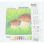 Předloha vyšívací 15x15cm Hříbky – Hledejceny.cz