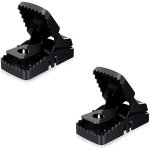 Pronett Plastová pastička na myši 2 ks černá XJ5213 – Zbozi.Blesk.cz