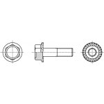 PROFISTYL DIN 6921 šroub šestihranná hlava s límcem ozubeným nerez A2 Varianta: DIN 6921 šroub 6HR s límcem ozubeným nerez A2 M6x60 – Zboží Mobilmania