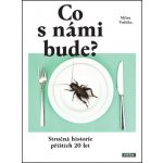 Co s námi bude?. Stručná historie příštích 20 let Milan Vodička Práh – Sleviste.cz