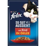 Felix Fantastic hovězí v želé 85 g – Hledejceny.cz