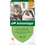 Advantage Spot-on pro malé kočky a králíky 40 mg 1 x 0,4 ml – Sleviste.cz