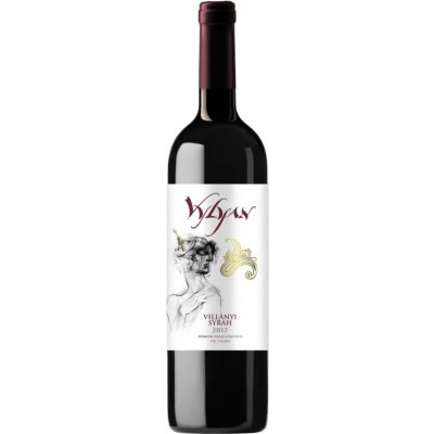Vylyan Syrah 2017 14% 0,75 l (holá láhev) – Hledejceny.cz