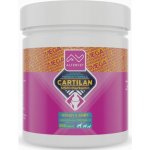 Altervet Cartilan MSM+kurkumin Mega 300 tbl – Zboží Mobilmania