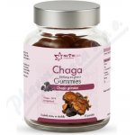 Nutricius Chaga 500 mg gummies 60 ks – Hledejceny.cz