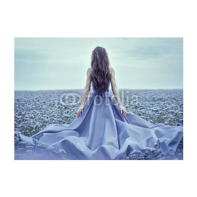 Weblux 70223866 Fototapeta plátno Back view of standing young woman in blue dress Zadní pohled na stojící mladá žena v modrých šatech rozměry 240 x 174 cm