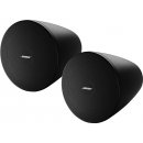 Bose DesignMax DM5P