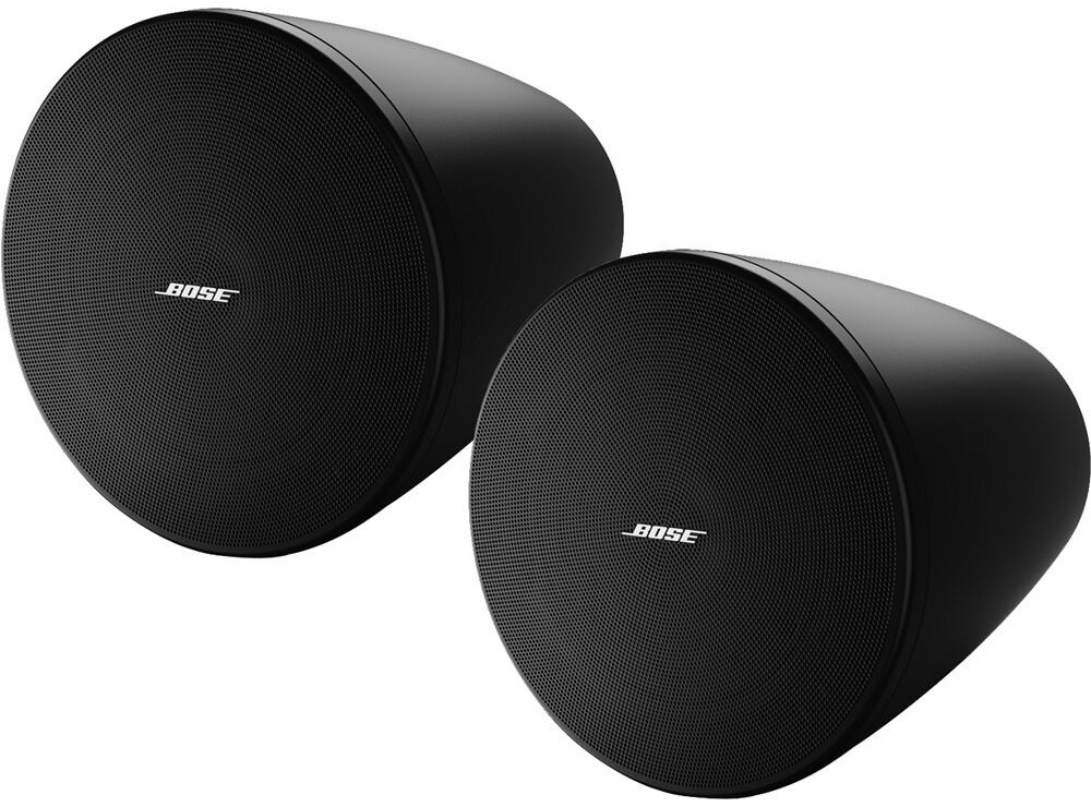 Bose DesignMax DM5P