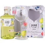 June Gin Pear 37,5% 0,7 l (dárkové balení 1 sklenička) – Hledejceny.cz