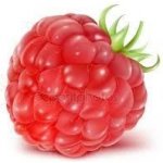 Sedmikráska ovocno bylinný sirup Malina s bazalkou 0,5 l – Hledejceny.cz