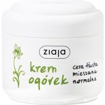 Ziaja okurka pleťový krém 100 ml – Zboží Dáma