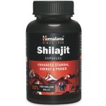 Shilajit Himalaya 60 kapslí – Hledejceny.cz