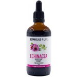 Botanicals 4 life Bylinná tinktura z extraktů echinacey a olivových listů 100 ml – Hledejceny.cz