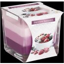 Svíčka Bispol Aura Frozen Berries 170 g