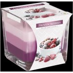 Bispol Aura Frozen Berries 170 g – Zbozi.Blesk.cz