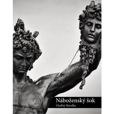 Náboženský šok - Religiózní otřesy v odlišných náboženstvích a kulturách, mezináboženský dialog - Ondřej Havelka