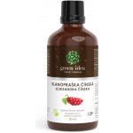 Green idea Schizandra klanopraška čínská tinktura 50 ml – Hledejceny.cz