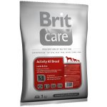 Brit Care Adult Activity All Breed Lamb & Rice 1 kg – Sleviste.cz