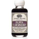 Anima Mundi Apothecary Black Elderberry Elixir 118 ml – Hledejceny.cz