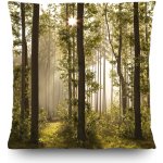 Dekorační polštář Forest CN3611 | 45 x 45 cm – Hledejceny.cz