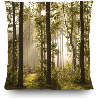 Dekorační polštář Forest CN3611 | 45 x 45 cm – Hledejceny.cz