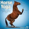 Kalendář Horse Yoga Wall 2023