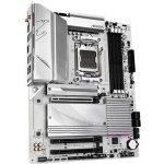 Gigabyte B650M AORUS ELITE AX ICE – Zboží Živě
