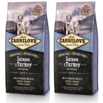 Carnilove Salmon & Turkey for Large Breed Puppy 2 x 12 kg – Hledejceny.cz