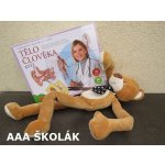 Teddies Tělo člověka kvíz – Hledejceny.cz