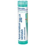 AURUM MURIATICUM NATRONATUM POR 200CH GRA 1X4G – Hledejceny.cz