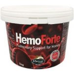 Mervue HEMOFORTE doplněk pro koně 1 kg – Hledejceny.cz