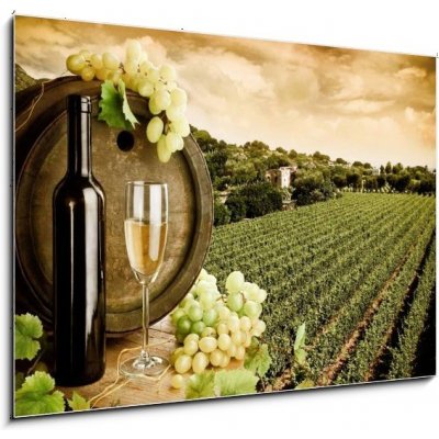 Obraz 1D - 100 x 70 cm - Wine and vineyard in vintage style Víno a vinice ve vinobraní – Zboží Mobilmania