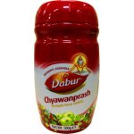 Dabur Chyawanprash 500 g – Hledejceny.cz