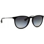 Ray-Ban RB4171 Erika 622 T3 – Zboží Dáma